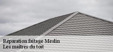 Réparation faitage 22400