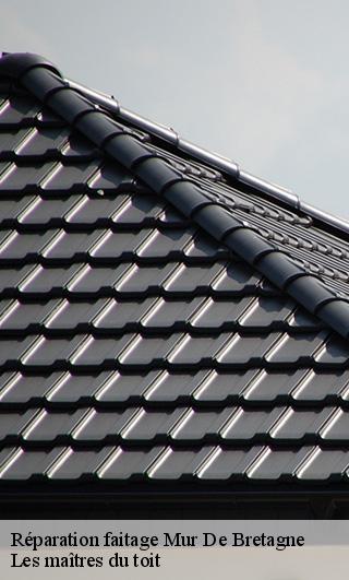 Réparation faitage  22530