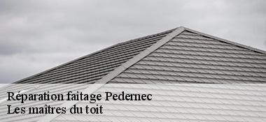 Réparation faitage  22540