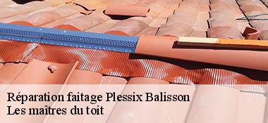 Réparation faitage  22650