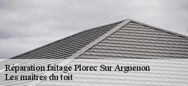 Réparation faitage  22130