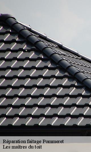 Réparation faitage  22120