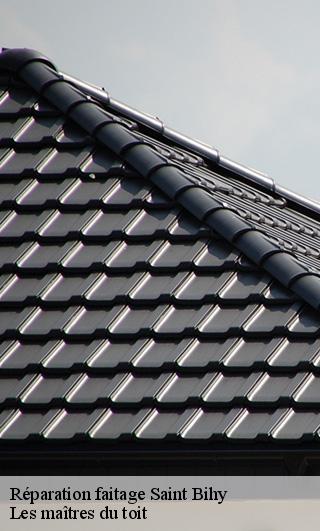 Réparation faitage  22800