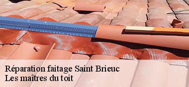 Réparation faitage  22000