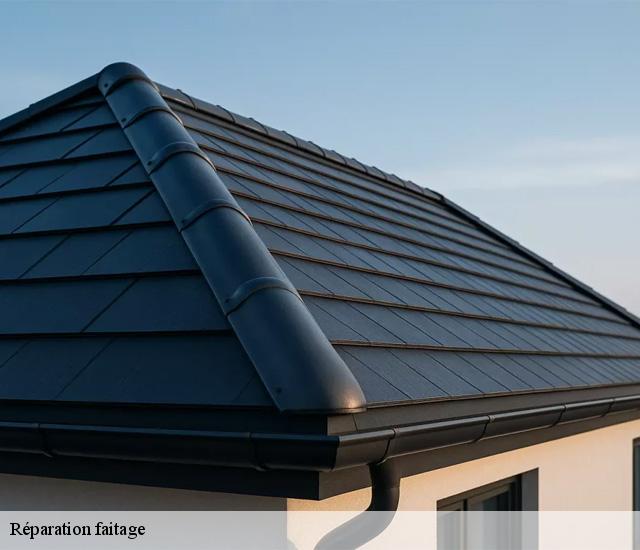 Réparation faitage  22380