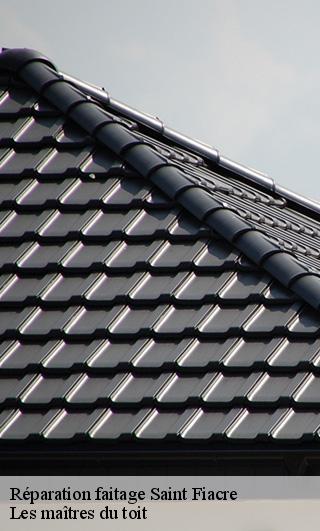 Réparation faitage  22720
