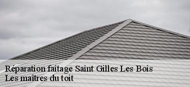 Réparation faitage  22290