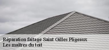 Réparation faitage  22480