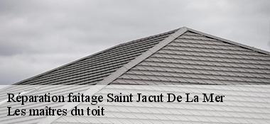 Réparation faitage  22750