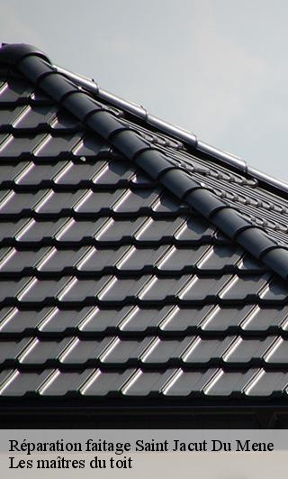 Réparation faitage  22330