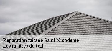 Réparation faitage  22160