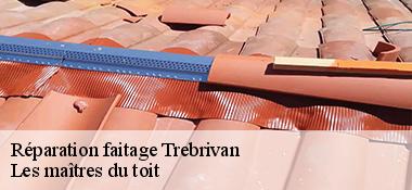 Réparation faitage 22340