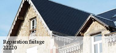 Réparation faitage  22220