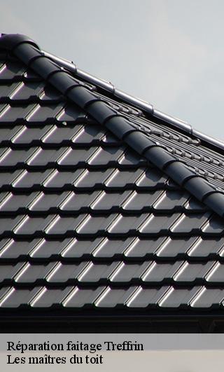 Réparation faitage  22340