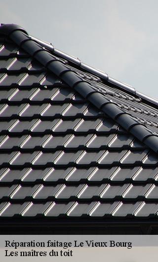 Réparation faitage  22800