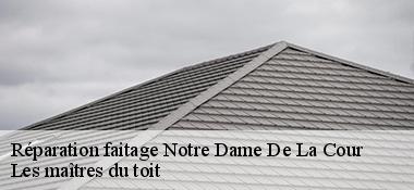 Réparation faitage  22410