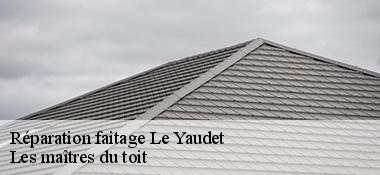 Réparation faitage 22300
