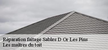 Réparation faitage  22240