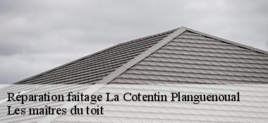 Réparation faitage  22400