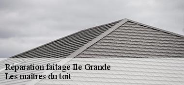 Réparation faitage  22560