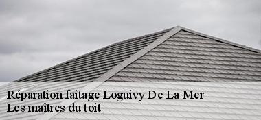 Réparation faitage  22620