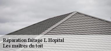 Réparation faitage 22120