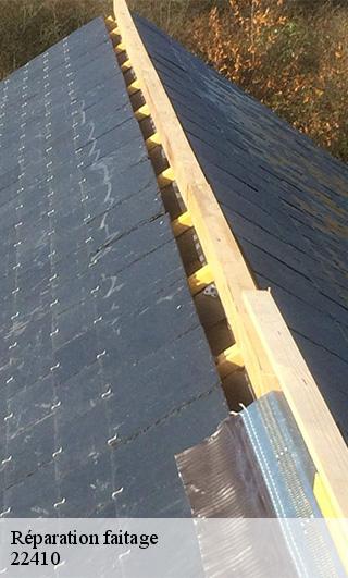 Réparation faitage  22410