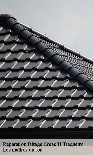 Réparation faitage  22950