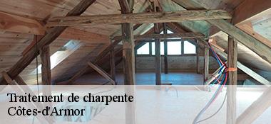 Traitement de charpente Côtes-d'Armor