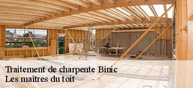 Traitement de charpente  22520