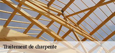 Traitement de charpente  22520