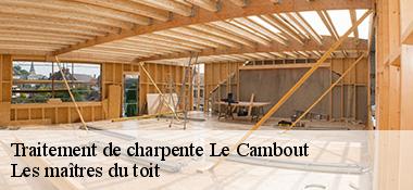 Traitement de charpente  22210