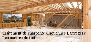 Traitement de charpente  22300
