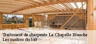 Traitement de charpente  22350