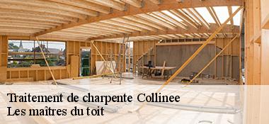 Traitement de charpente  22330