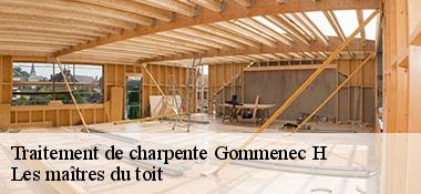 Traitement de charpente  22290