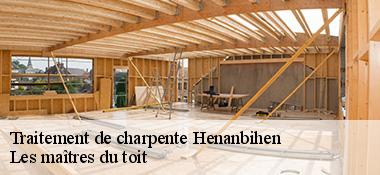 Traitement de charpente  22550