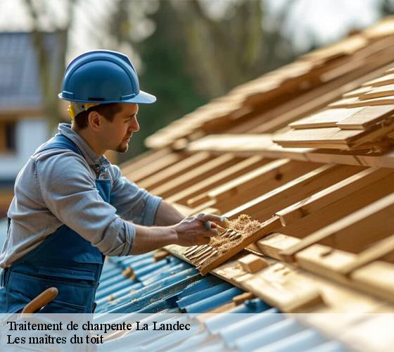 Traitement de charpente 22980