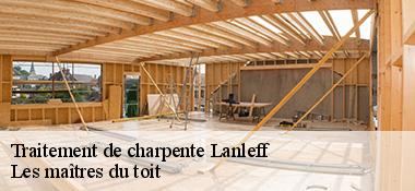 Traitement de charpente  22290