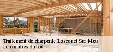 Traitement de charpente  22230