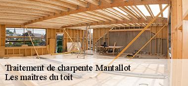 Traitement de charpente  22450