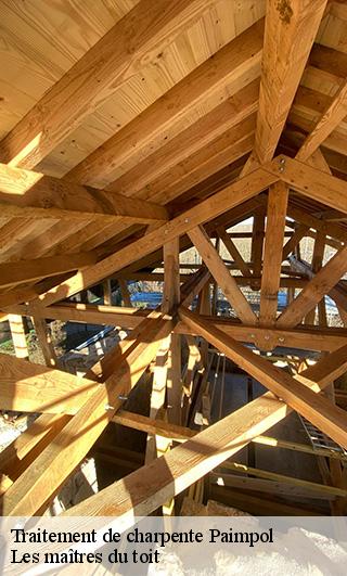 Traitement de charpente  22500