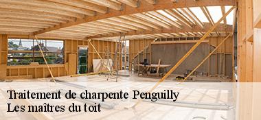 Traitement de charpente  22510