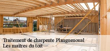 Traitement de charpente 22400