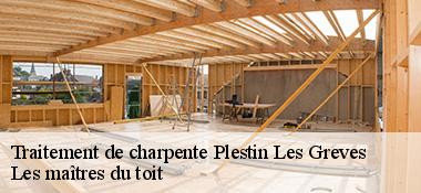 Traitement de charpente  22310