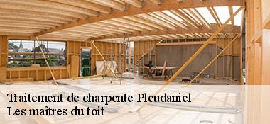 Traitement de charpente  22740