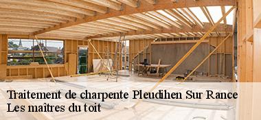 Traitement de charpente  22690