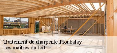 Traitement de charpente  22650