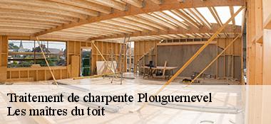 Traitement de charpente  22110