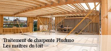 Traitement de charpente  22130